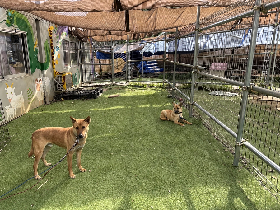 いつも支えをありがとうございます！