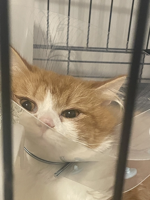 【終了まで残り4時間】あと201,000円