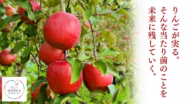 長野の宝「信州りんご」の危機。育てる人も食べる人も、みんなで守ろう のトップ画像