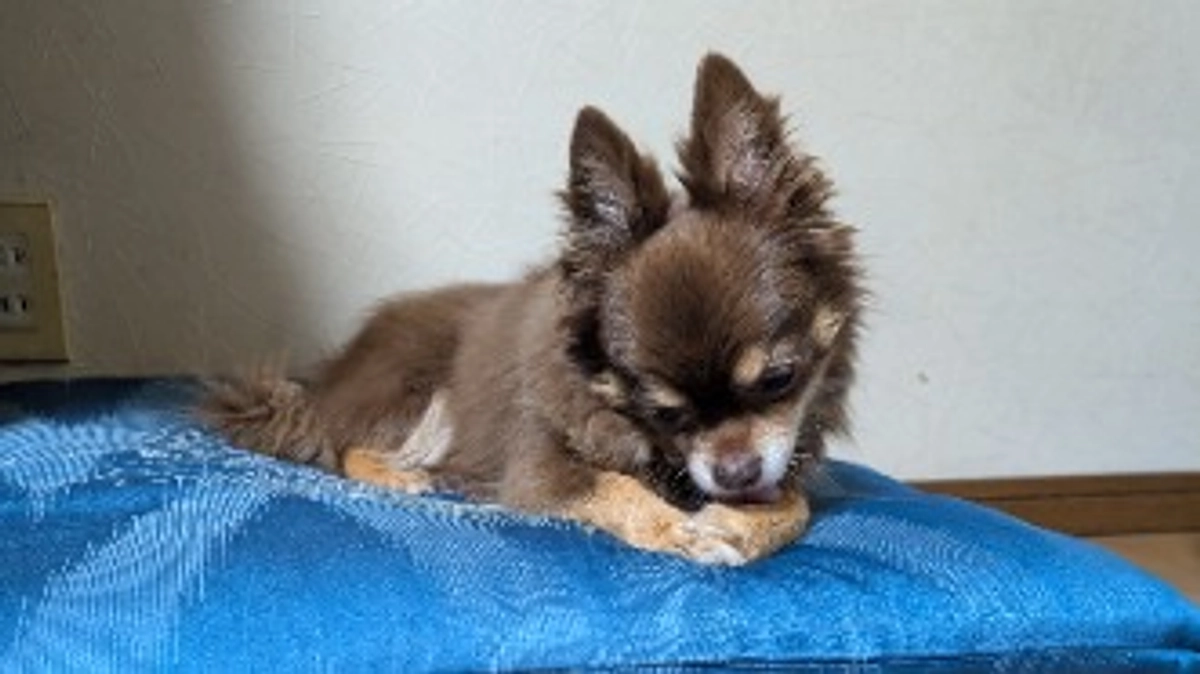 クラウドファンディング3日目