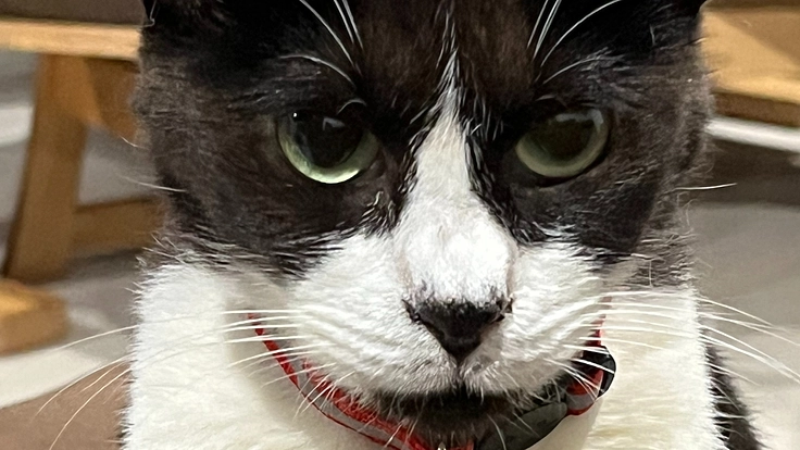 腎臓病ステージ4　貧血　　継続医療費のご支援をお願いします