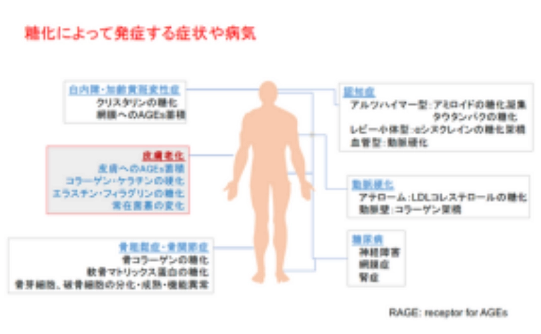 ご支援への感謝を込めて：感謝を込めて手書きのお手紙をと「若さを保つ食生活ガイド」（オリジナル非売品）をお送りします。