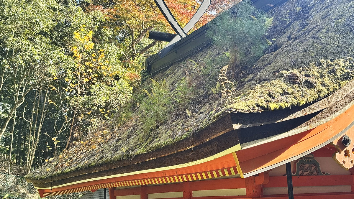鞆淵八幡神社　宮司より