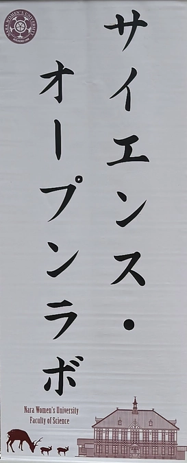 サイエンス・オープンラボ（SOL）開催のご報告