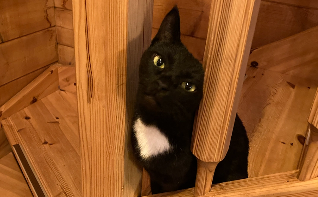 応援コース10万円