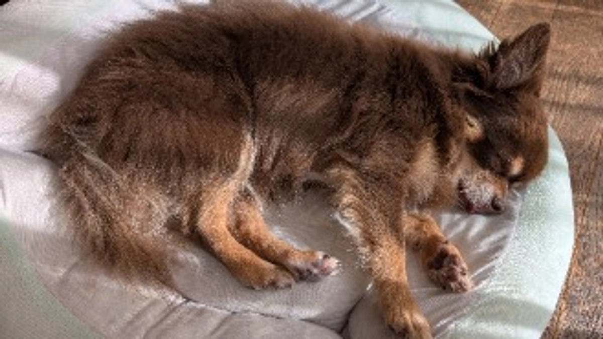 クラウドファンディング6日目❢