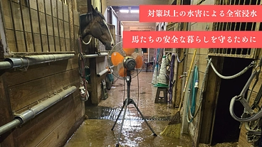 馬たちにこれからもできる限りの安全を。 水害対策を強化したい。 のトップ画像