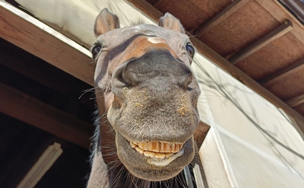 【リターン不要の方向け】全力応援コース|3万円