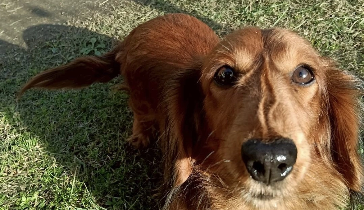 レスキューしました！