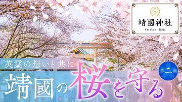 靖國の桜を未来へつなぐ。平和への願いと記憶を次世代に｜二期支援募集 のトップ画像