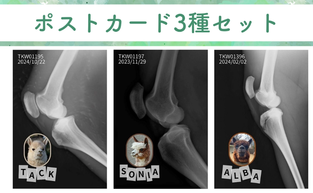 【グッズ】ポストカード3種セット