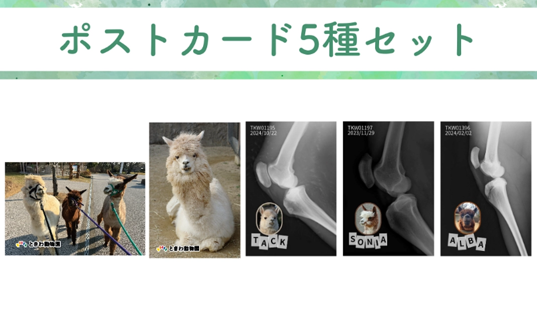 【グッズ】ポストカード5種セット