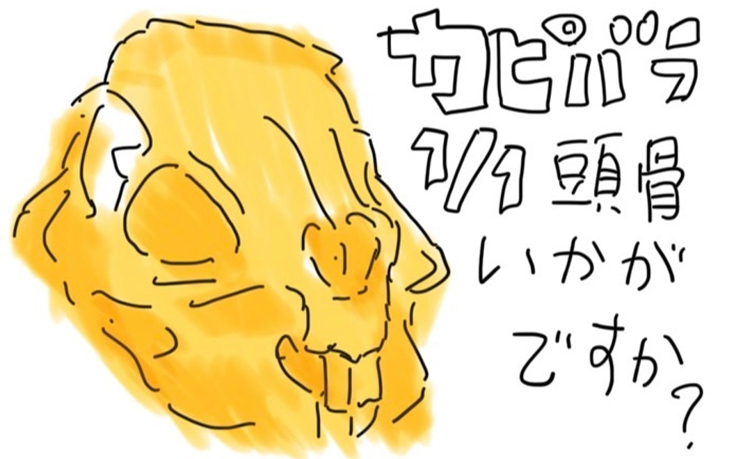 【2026年1月11日開催】カピバラサイエンスカフェ参加チケット ＋ 等身大 カピバラ頭骨 ＋ カピバラ焼きドーナツ