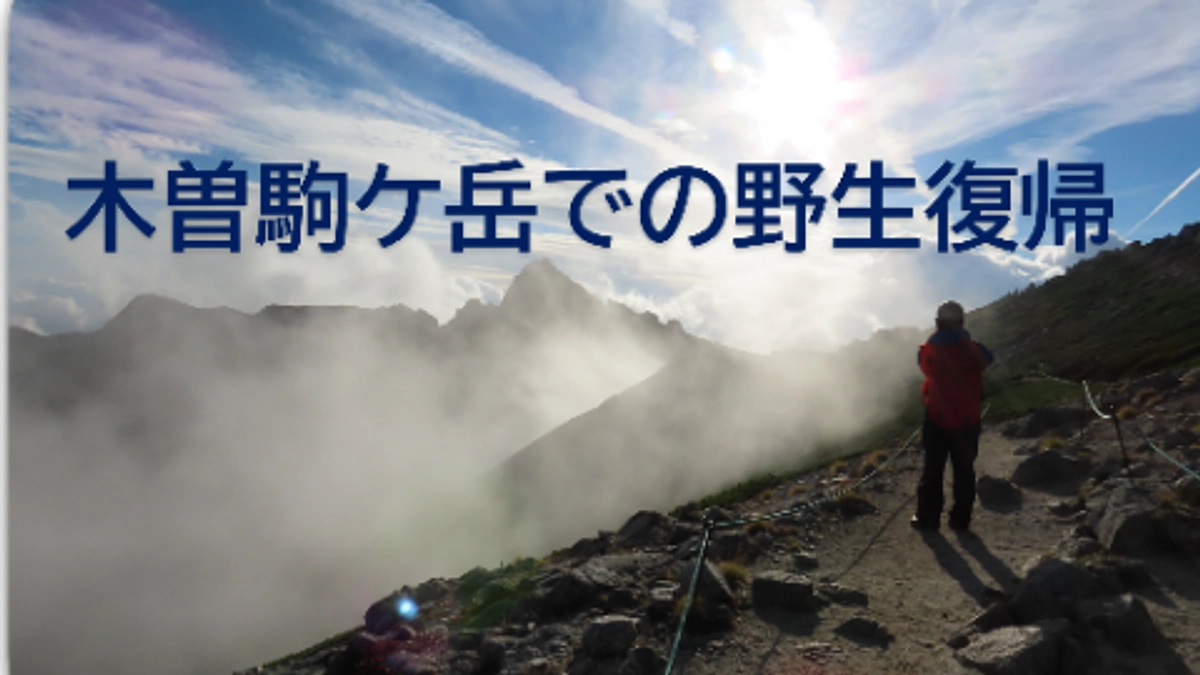 野生復帰事業における動物園の挑戦について