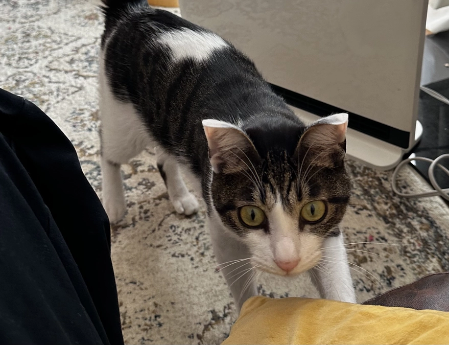 10週後検診に行ってきました🌼