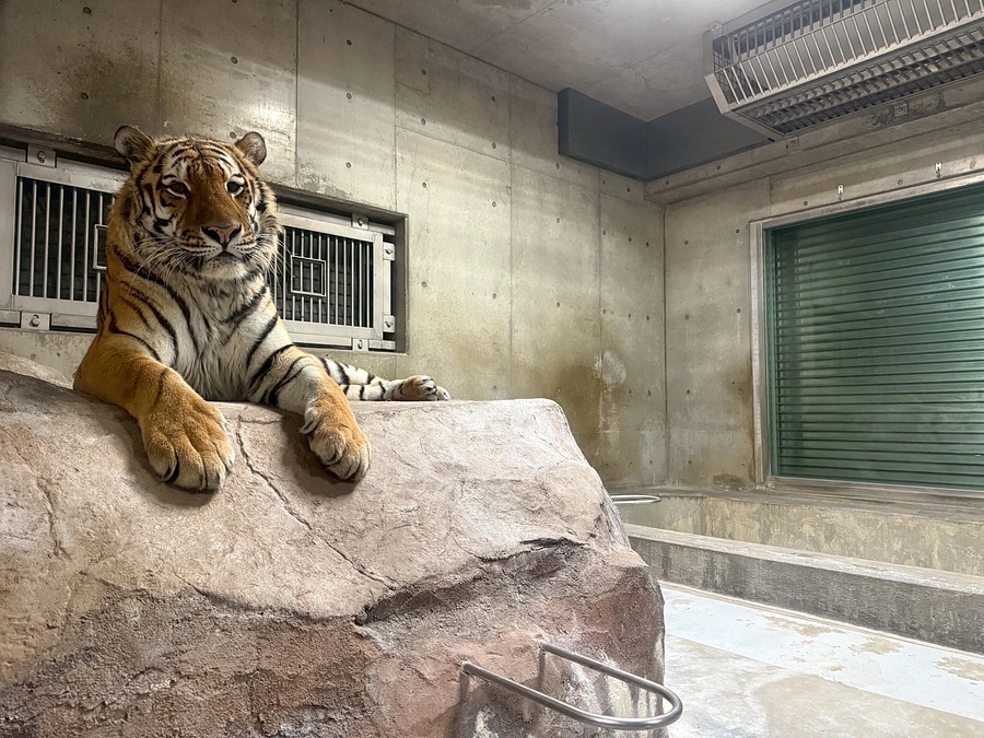 高校生が挑戦！ショウヘイの生活をもっと良くするために…