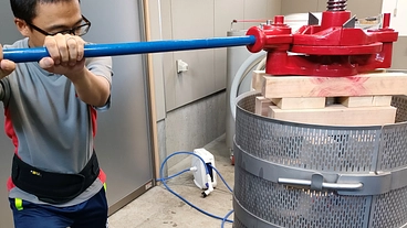 高知をワインの銘醸地に！高知市繁華街に都市型ワイナリーを設立したい のトップ画像