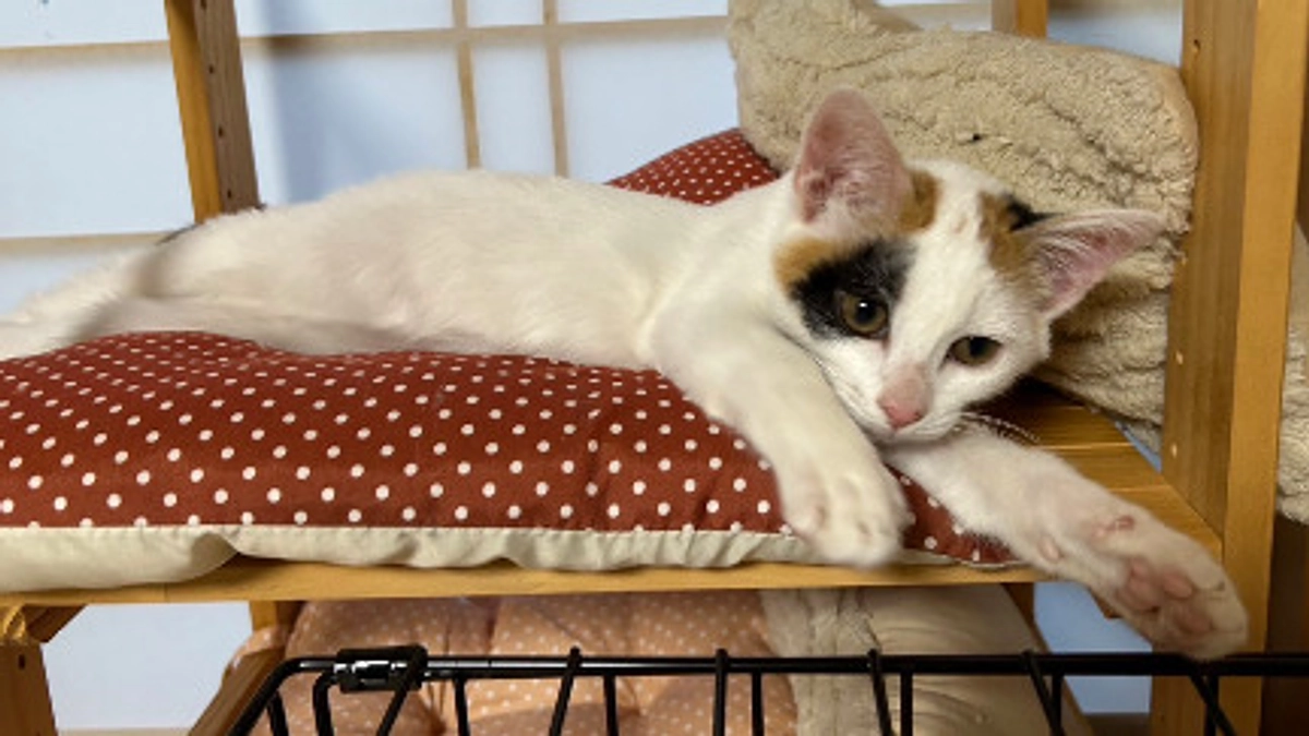 令和7年11月の中間報告！