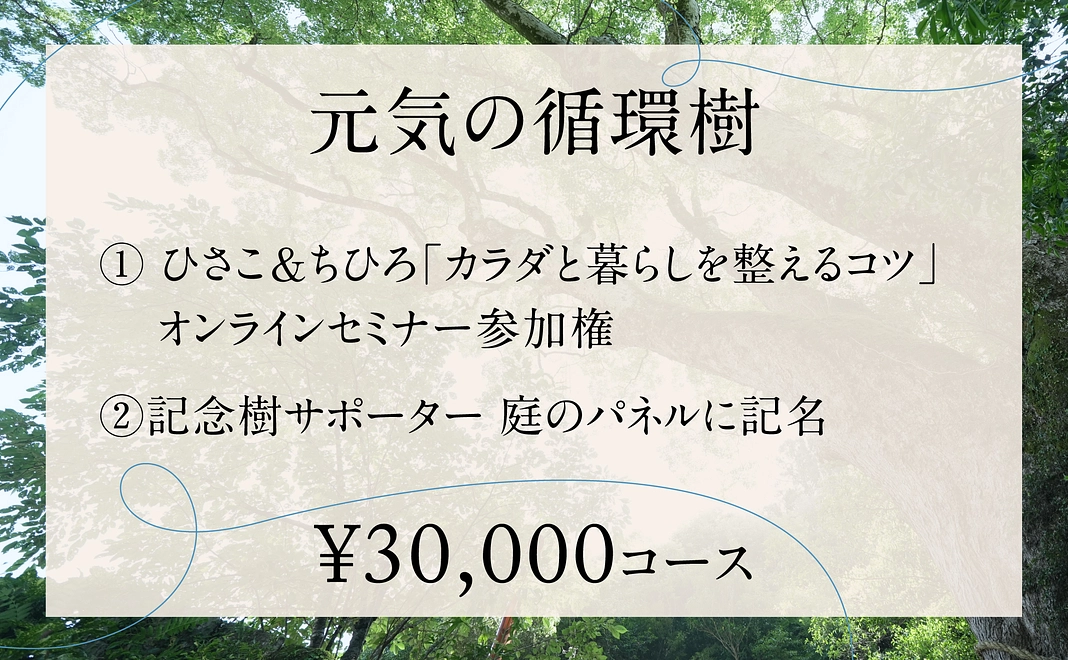 【元気の循環樹】¥30,000コース