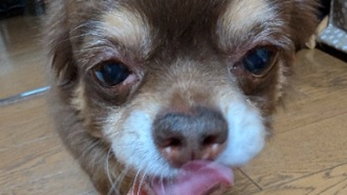 クラウドファンディング１週間❢残り29日です💦