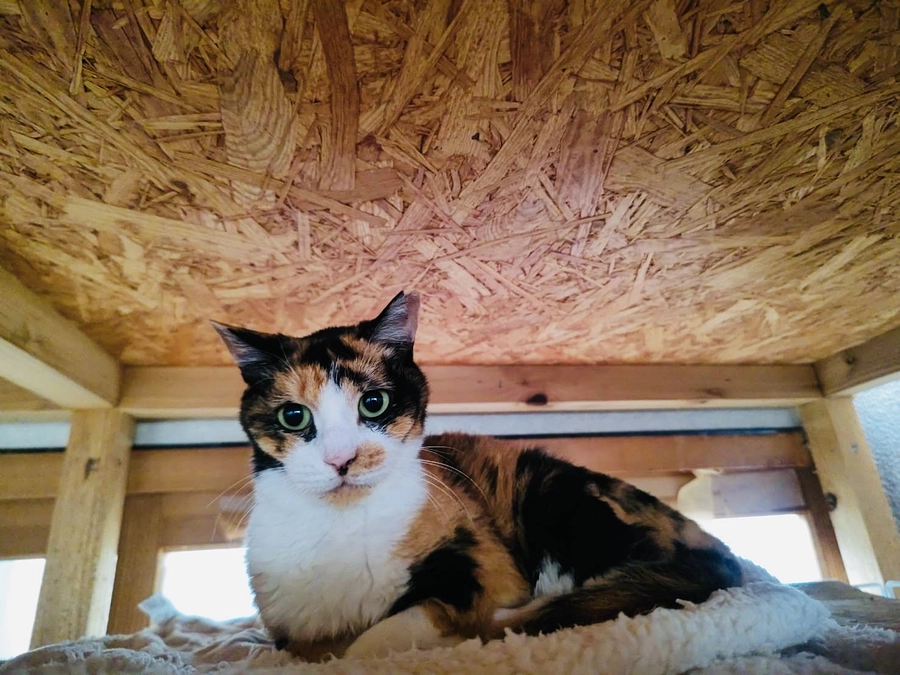 目標達成いたしました！本当にありがとうございます！！