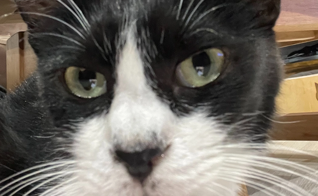 たぁぼう応援　50000円