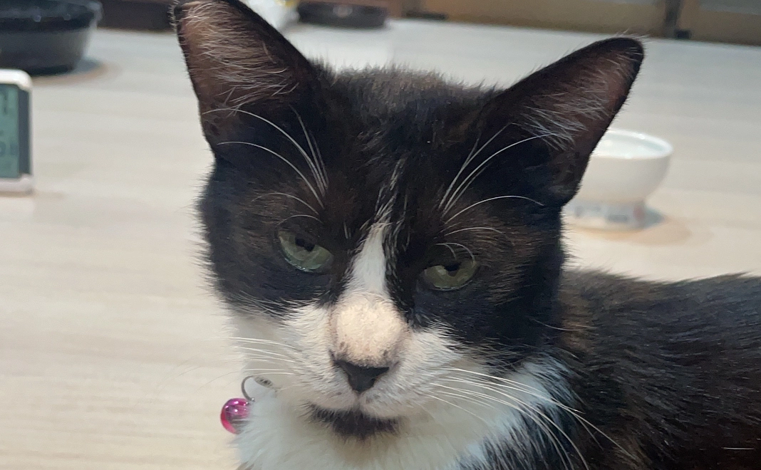 たぁぼう応援　500円