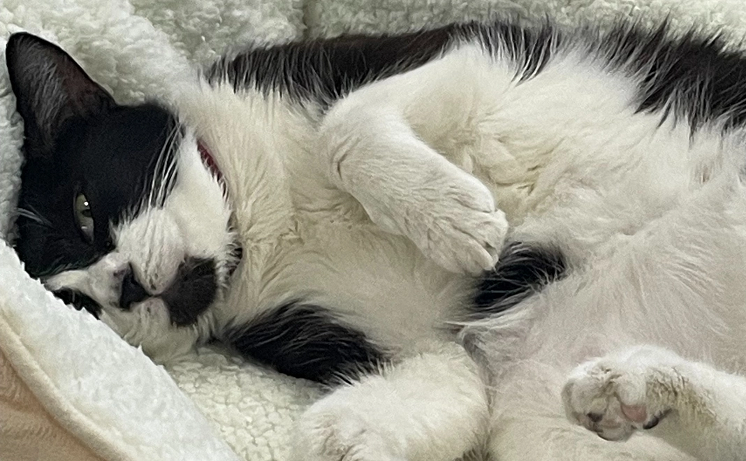 たぁぼう応援　3000円