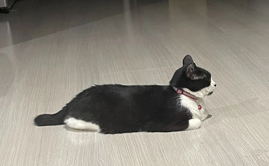 たぁぼう応援　5000円