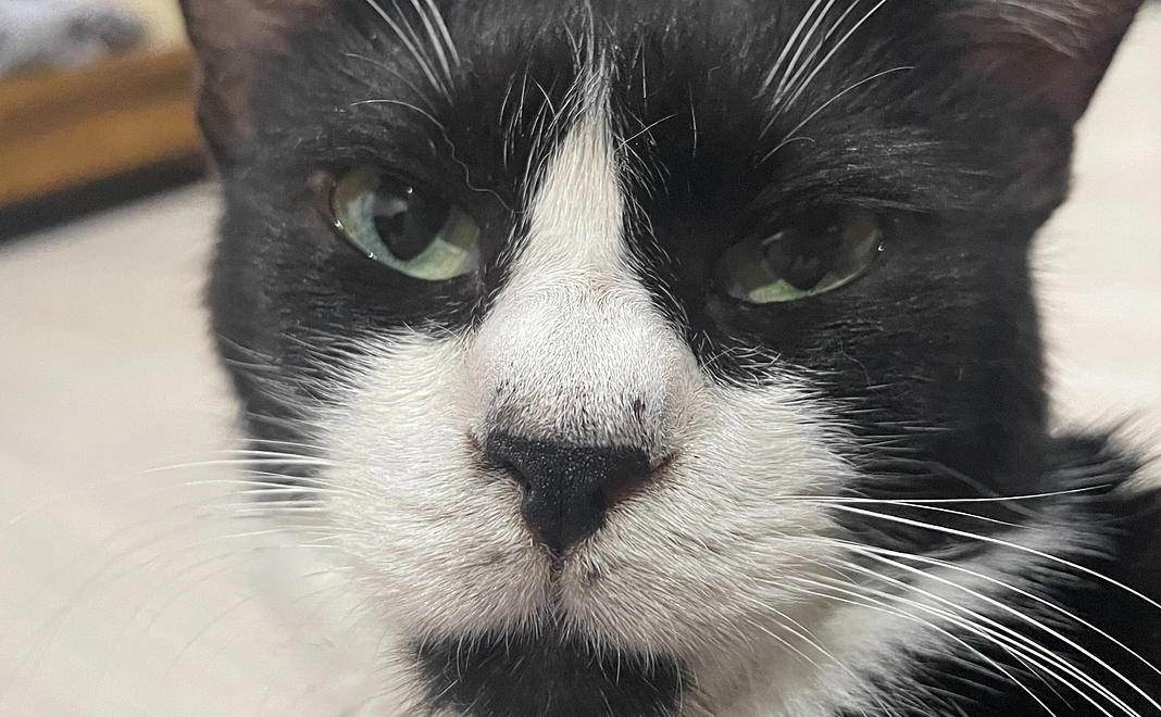 たぁぼう応援　10000円