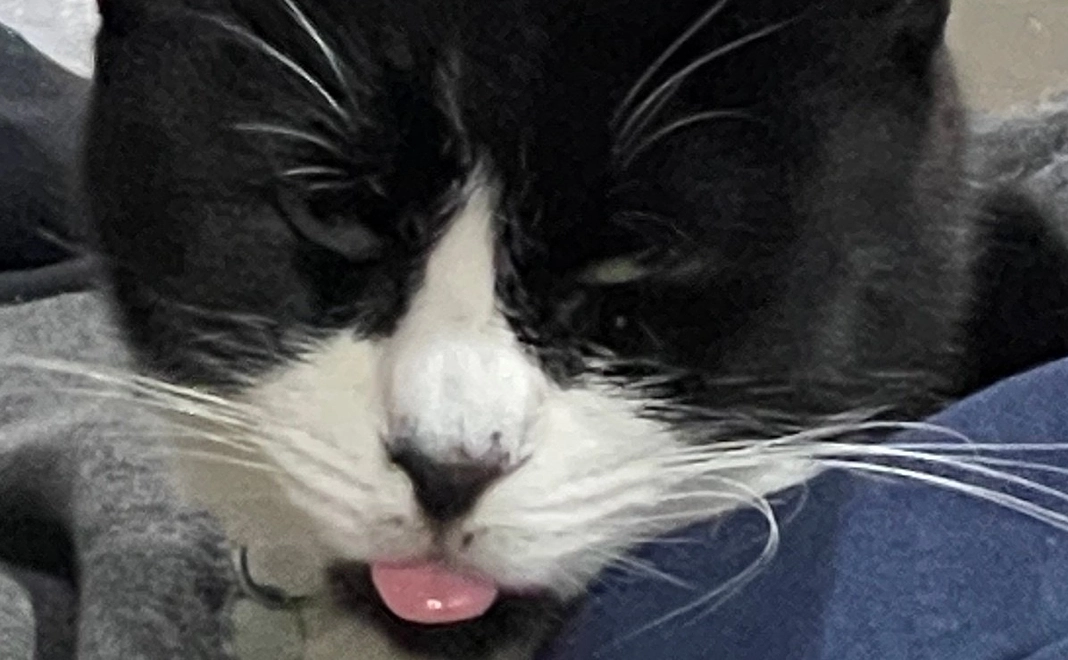 たぁぼう応援　20000円