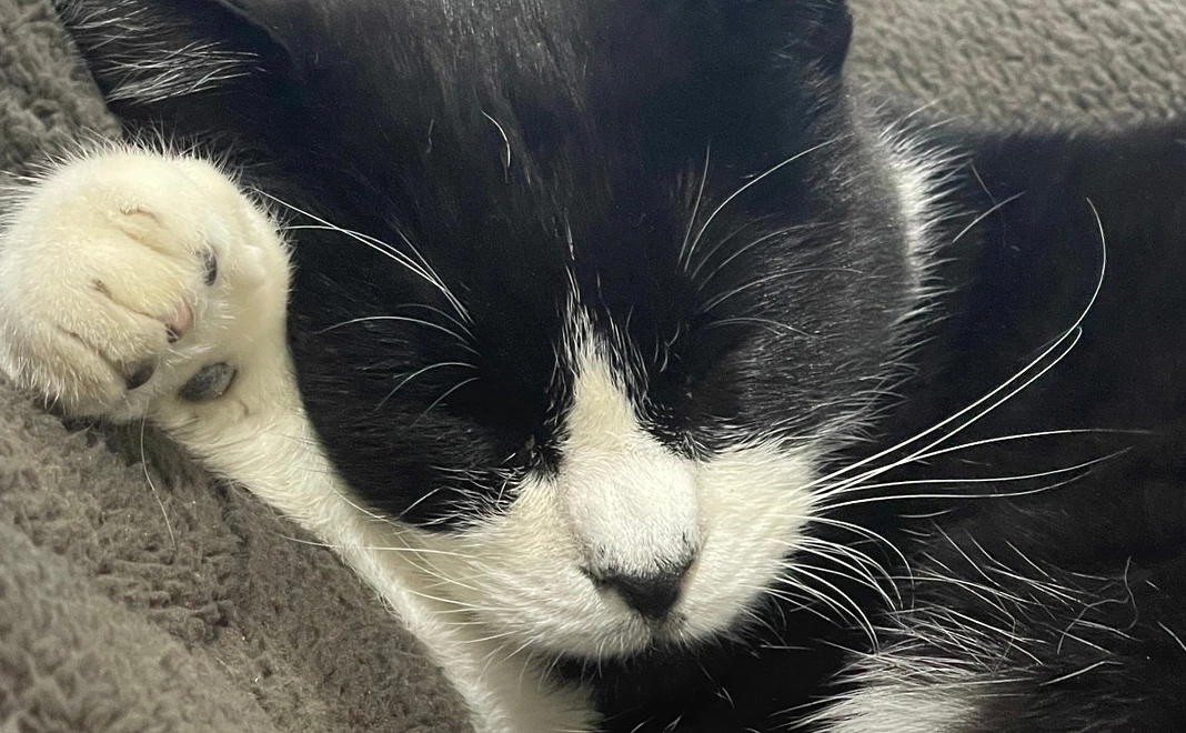 たぁぼう応援　30000円