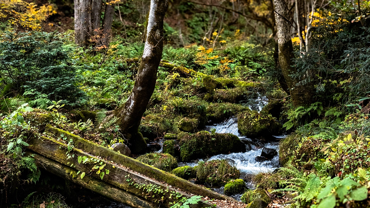 残りわずか９日。皆さまへ進捗のご報告