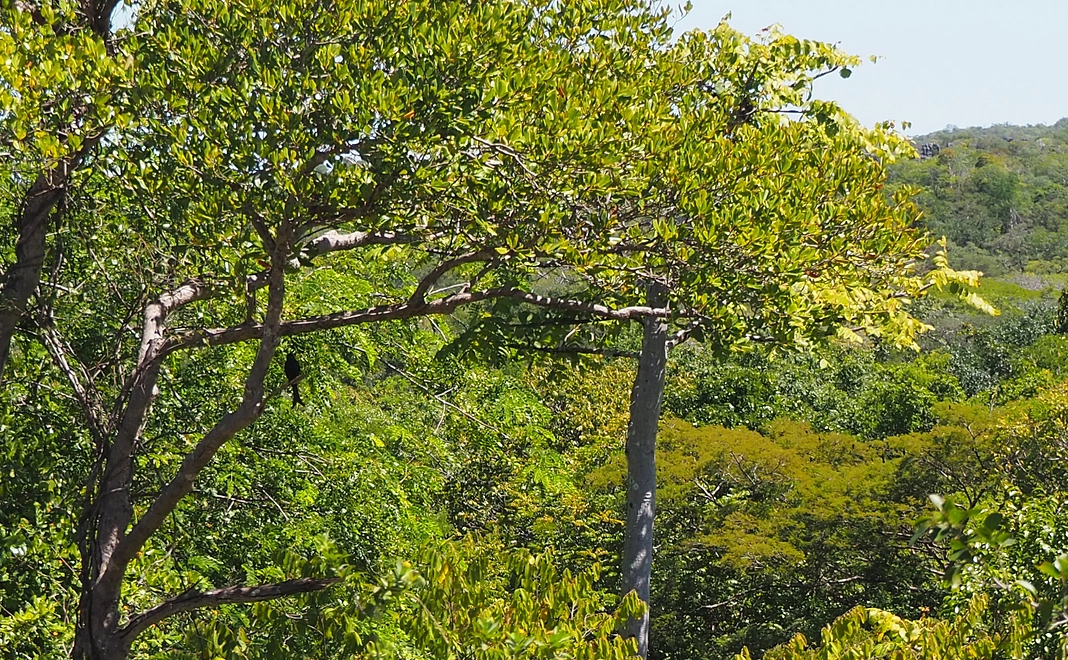 あなたのお名前入り記録PDF＋特別メッセージ