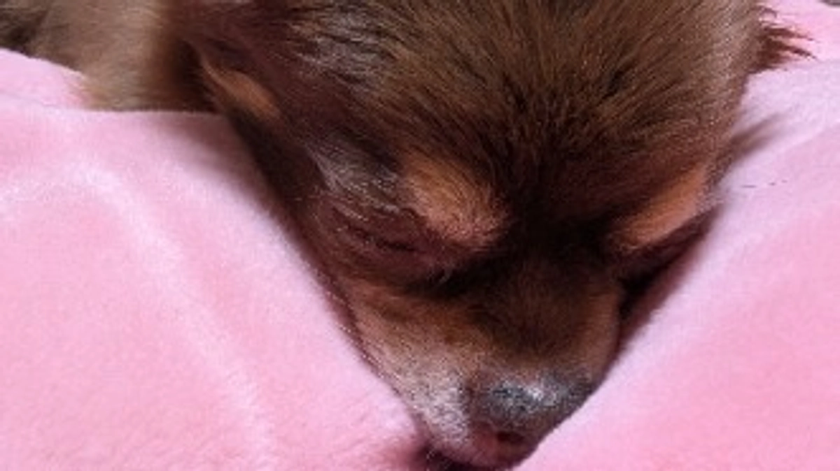 クラウドファンディング残り27日です❢