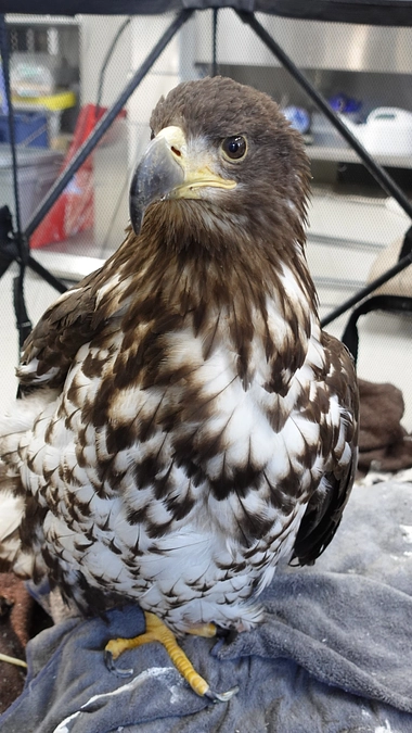 ちとせちゃんは穏やかに過ごしています！