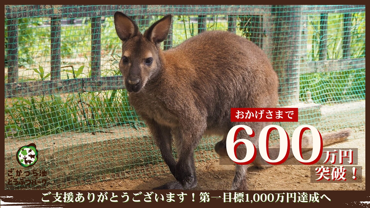 目標金額の60％を達成しました！！！