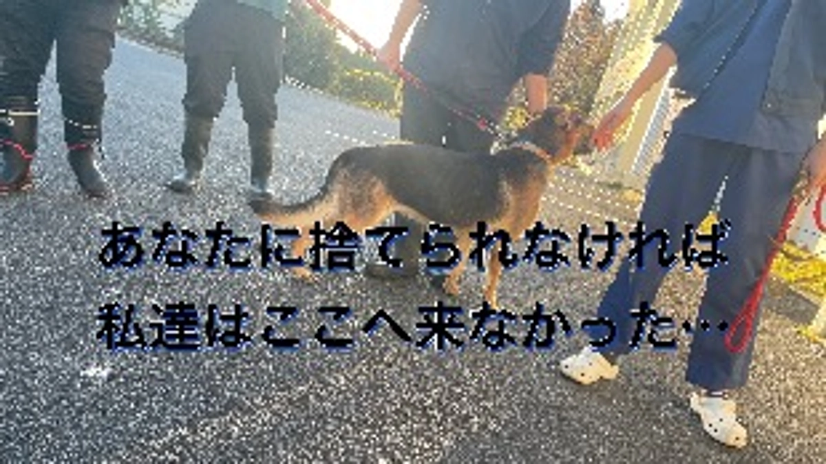 試行錯誤の積み重ね