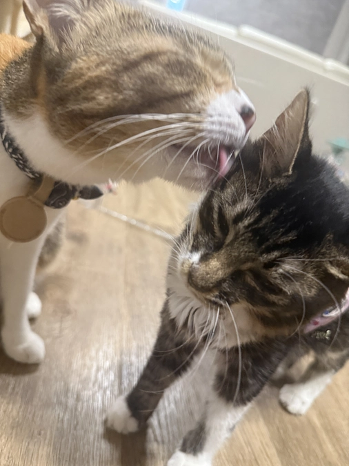 残り48時間‼️