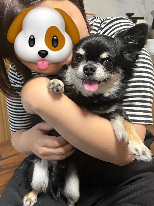 3ヶ月検診の日程について