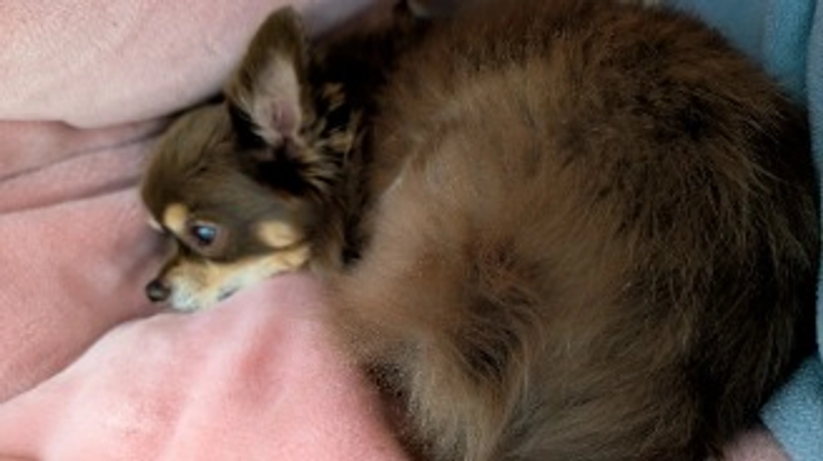 クラウドファンディング残り26日❢