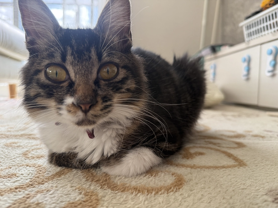 残り39時間…‼️