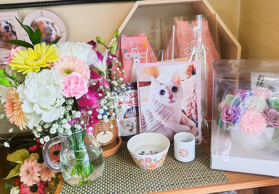 いただいたお供えで、お花を飾らせてもらいました🌷