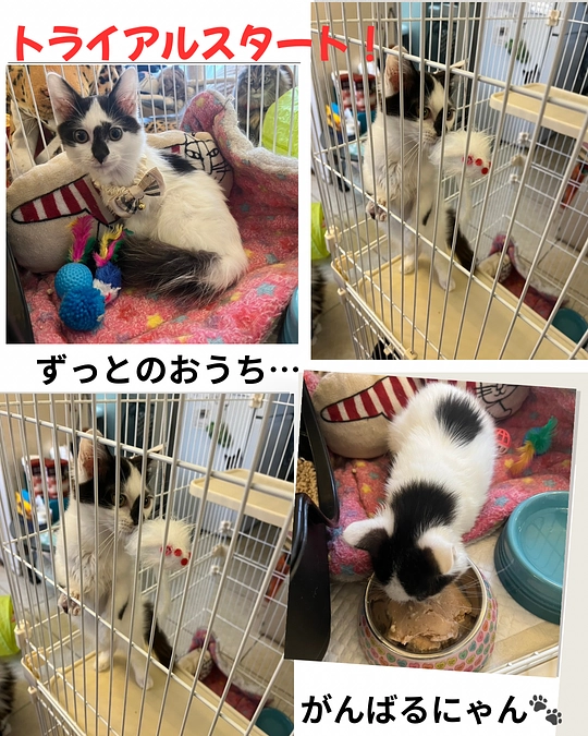 片道チケットを手に、幸せへの第一歩…🍀