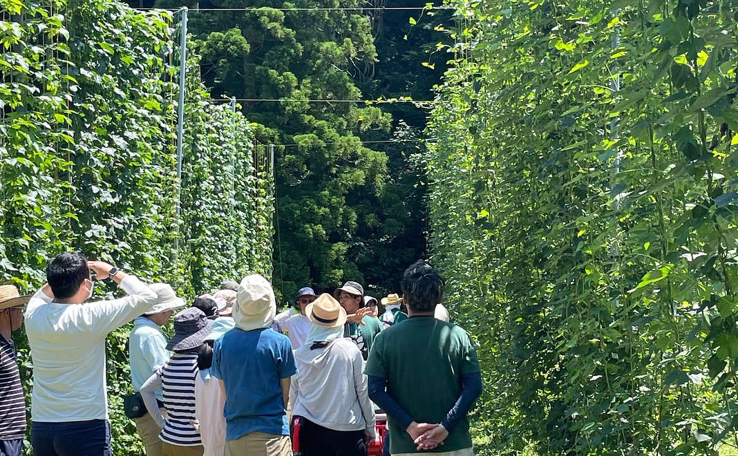 若者就労応援コース30,000円