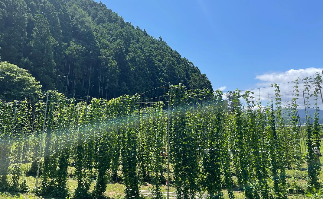 若者就労フォロアップの応援コース50,000円