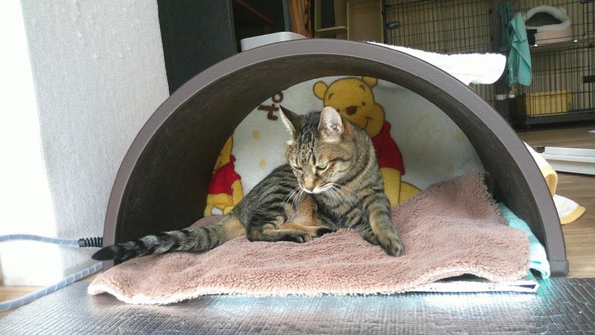 目標額を達成できました！そしてゴールまであと4日です！！