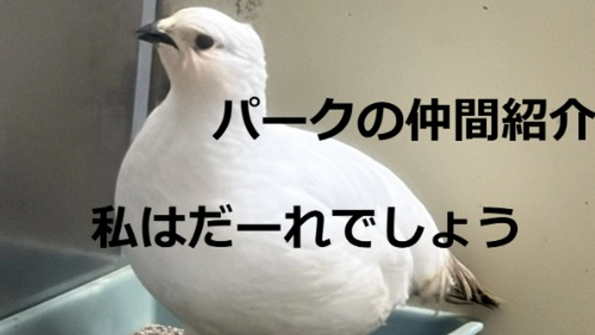 パークの仲間紹介②あなたはだーれ？