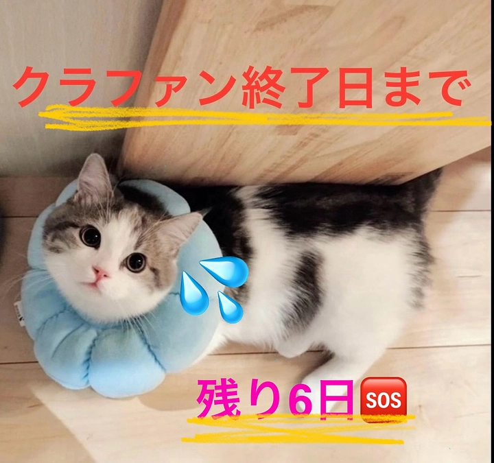 残り6日‼️