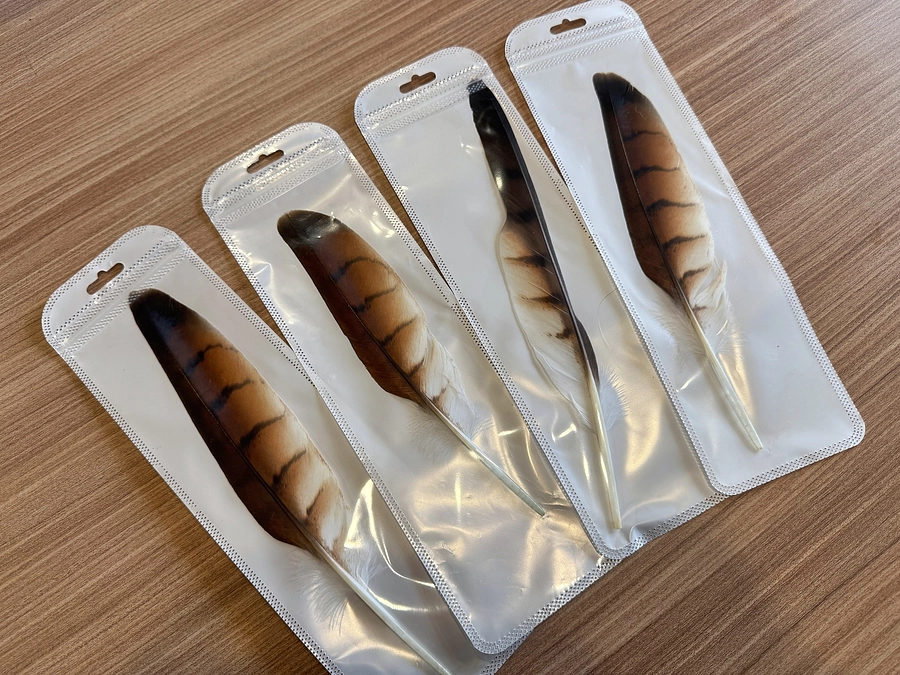 リターン出荷予定と特設LPのご案内